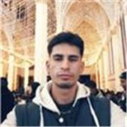 profesor de tecnología e informática en niveles escolares de primaria, media y basica