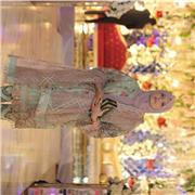 Saman Amer