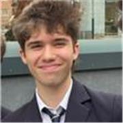 Profesor de Ingles nativo y de A Level y GCSE, ofrezco clases online o a domicilio en Madrid.