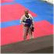 Maestro de Artes Marciales Cinta Negra 3er Dan con experiencia comprobable en bienestar felicidad y proposito de vida