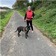 Erfahrene Lehrerin erteilt Mathenachhilfe bis Klasse 13 bei Ihnen zuhause im Raum Dortmund/ Unna