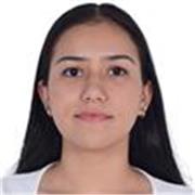 Profesor de apoyo escolar en el área de inglés de manera remota