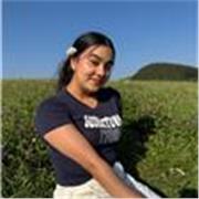 Licenza media e corso di inglese, certificato di inglese