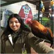 Maestra de apoyo educacional para secundaria a primeros semestres de universidad