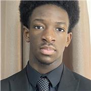 Maths tutor teaching 11+, KS3 and GCSE level maths