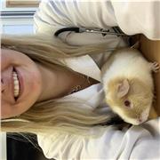 I am a fully qualified vet and FE/HE lecturer, also with 7+ years experience as a private tutor.