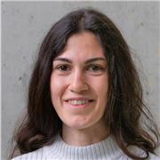 Offro ripetizioni in materie varie, tra cui matematica, fisica, scienze...