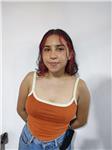 Estudiante de ingeniería brinda guía y tutoría en temas relacionados con la física(presencial y virtual)