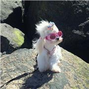 Studentessa di infermieristica con laurea umanistica, offro ripetizioni (anche latino) e aiuto compiti