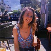 Art & Photography Tutor for GCSE & A-Level