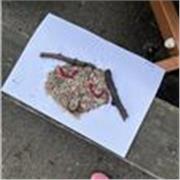 Future professeur des écoles pouvant aider jusqu’au niveau collège 