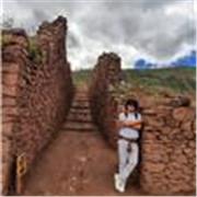 Profesor de Informática y matemáticas en linea