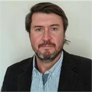 Profesor de matematicas para educacion basica