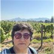 Clases online español nativo chileno divertido