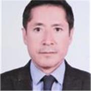 Profesor de matemáticas en línea nivel primaria