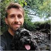 English, Maths, Music and Creative Writing remote tutor with extensive Mental Health and SEN experience