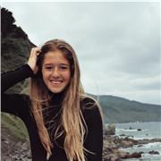 Estudio tercero de ingeniería industrial en la politécnica. Tengo conocimientos de matemáticas y física desde primero de la ESO hasta bachillerato