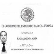 maestro de apoyo en regularización de primaria y secundaria, especialidad en matemáticas