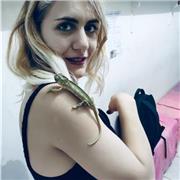 Ex studentessa provvista di certificazione Cambridge C1 impartisce lezioni di inglese a studenti di scuole medie e superiori