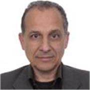 Profesional en Finanzas, Economía y Proyectos