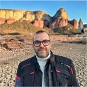 Profesor de administración de empresas con 15 años experiencia en dirección operaciones y 20 mas en compras, logística