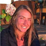 Clases presenciales/online de Vinyasa yoga