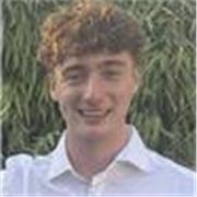 I am a maths undergraduate, my lessons would be perfect for gcse 