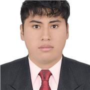 profesor de matemáticas desde nivel primaria hasta pre universitario