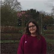 Profesora de inglés que imparte clases a alumnos de todas las edades