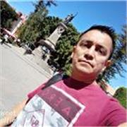 Profesor/tutor en linea o presencial