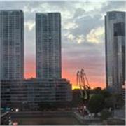 Apoyo escolar para inglés nivel primaria y secundaria