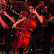 Teoria musical, musicalização para alunos com inclusão, aulas práticas de teclado!