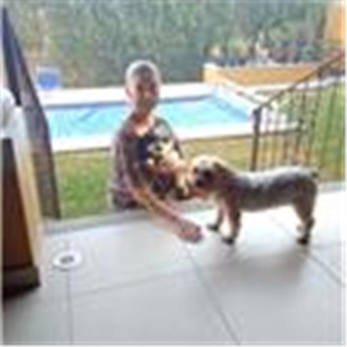 user photo