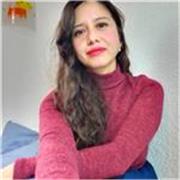 Español desde primaria hasta licenciatura