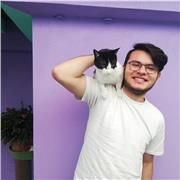 Clases de Violín, Viola y violonchelo