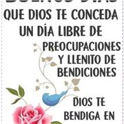 Docencia de enseñanza básica