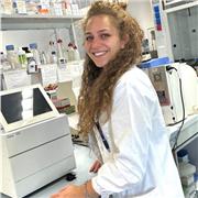 Offro ripetizioni individuali in presenza e online a bambini e ragazzi.