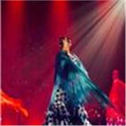 Bailarina profesional de danza española y flamenco, profesora de sevillanas y flamenco, castañuelas y mucho más!