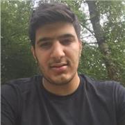 Laureandoin l’informatica offro ripetizioni in Analisi, Progammazione C, Java