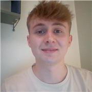 Englisch-Tutor, der Schüler-Gruppen jedes Alters unterrichtet