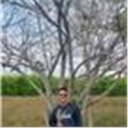 Domina el español: Clases prácticas, reales y sin complicaciones