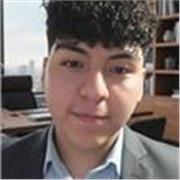 Profesor de matemáticas que enseña a niños de primaria y/o secundaria