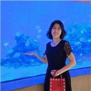 Mathematics tutor with 6 years of formal and informal tutoring. 1-to-1. In-person lessons in Birmingham, online the rest of the UK