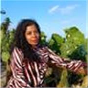 English Conversation-Based Classes for A2+ Level Students