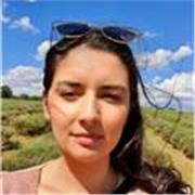 Law Tutor can teach A Level, Degree or LPC students