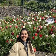 Compiti di inglese troppo difficili e nessuno in grado di aiutarti? Ecco la soluzione ai tuoi problemi!