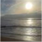 Enseignante qualifiée de langue française et aussi la langue arabe 