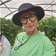 Studio ricerca: la conoscenza non è un elenco di nozioni, ma un modo di guardare il mondo.