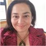 Profesora de Inglés se ofrece para dar clases on line, en Temuco puede ser presencial