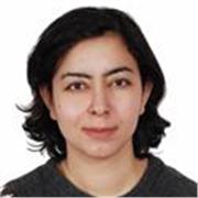 Arabic interpreter
English Writer
Linguistics, speech and conceptual analyst